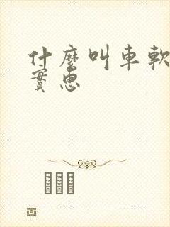 什么叫车软件最实惠