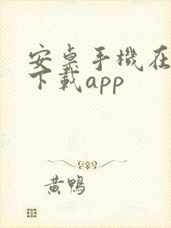 安卓手机在哪里下载app