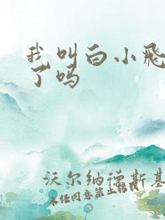 我叫白小飞完结了吗