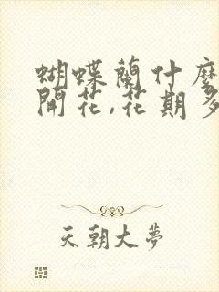 蝴蝶兰什么时候开花,花期多长