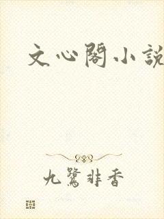 文心阁小说