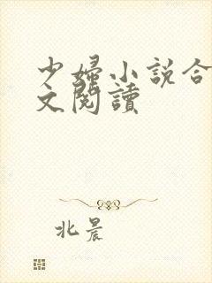 少妇小说合集全文阅读