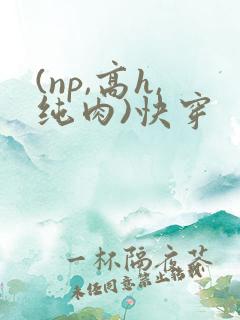(np,高h,纯肉)快穿