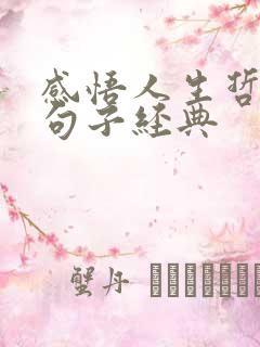 感悟人生哲理的句子经典