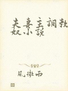 夫妻主调教夫妻奴小说