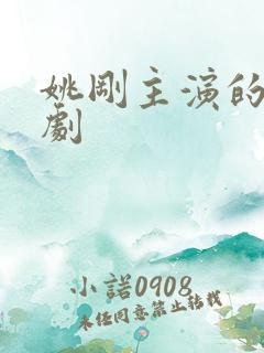 姚刚主演的电视剧