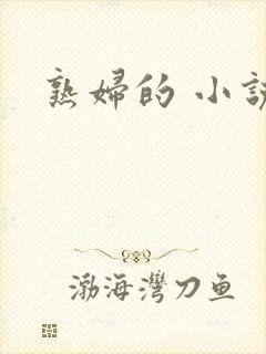 熟妇的 小说