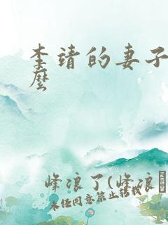 李靖的妻子叫什么