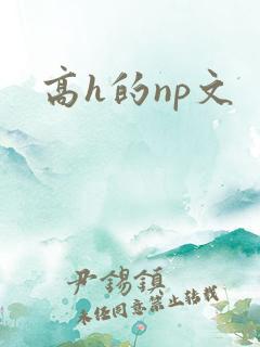 高h的np文