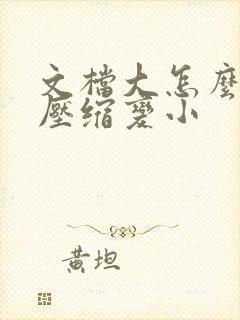 文档大怎么可以压缩变小
