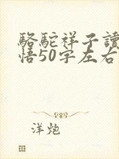 骆驼祥子读书感悟50字左右