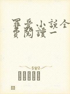 罪爱小说全文免费阅读一