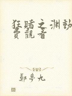 狂赌之渊动漫免费观看