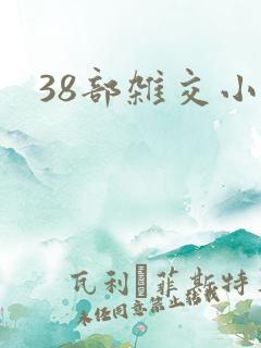 38部杂交小说