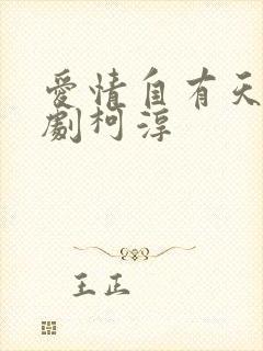 爱情自有天意短剧柯淳