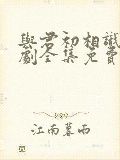 与君初相识电视剧全集免费观看