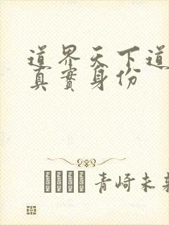 道界天下道尊的真实身份