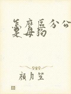 怎么区分公狗还是母狗
