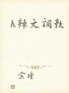h辣文调教