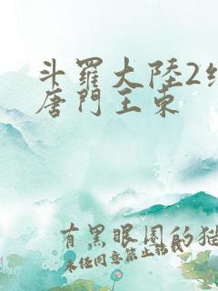 斗罗大陆2绝世唐门王东