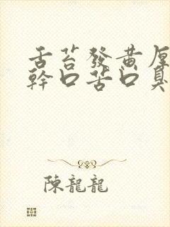 舌苔发黄厚腻口干口苦口臭的药