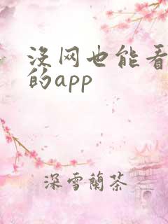 没网也能看小说的app