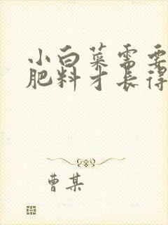 小白菜需要什么肥料才长得好