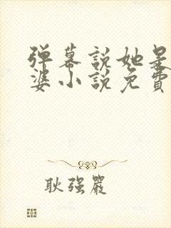 弹幕说她是我老婆小说免费阅读