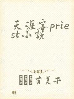 天涯客priest小说