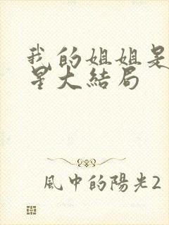 我的姐姐是大明星大结局