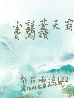 小说苍天霸主免费阅读