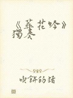 《葬花吟》琵琶独奏