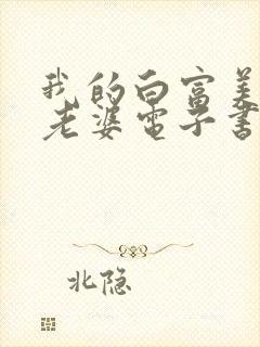 我的白富美总裁老婆电子书