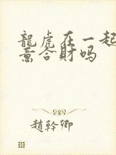 龙虎在一起做生意合财吗
