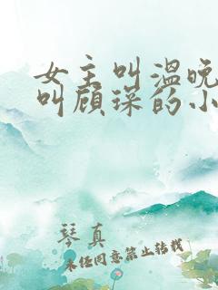 女主叫温晚男主叫顾琛的小说