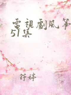 电视剧风筝1—51集