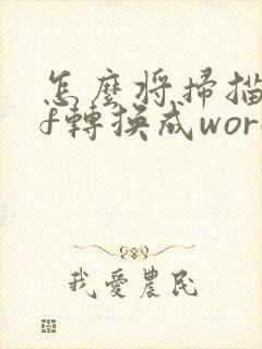 怎么将扫描pdf转换成word文档