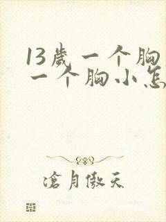 13岁一个胸大一个胸小怎么办