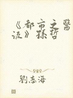 《都市之医武风流》孙哲