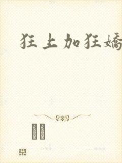狂上加狂娇藏