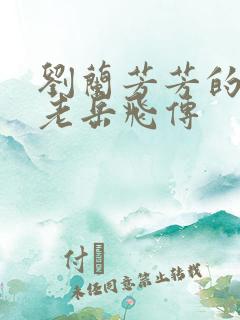 刘兰芳芳的评书老岳飞传