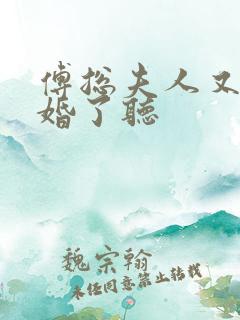 傅总夫人又闹离婚了听