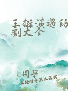 王挺演过的电视剧大全