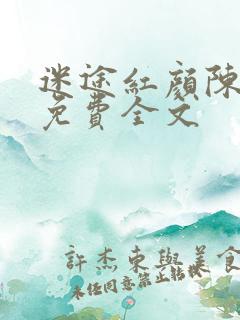 迷途红颜陈梦洁免费全文
