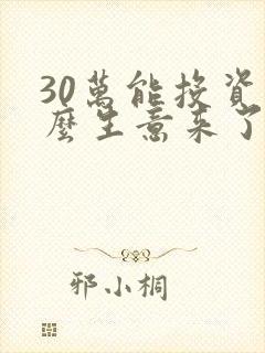30万能投资什么生意来了解