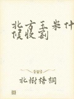 北方玉米什么时候收割