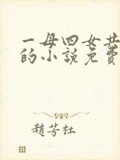 一母四女共一婿的小说免费阅读