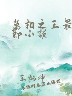 万相之王最新章节小说