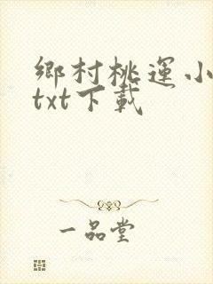 乡村桃运小傻医txt下载
