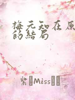 梅元知在原著中的结局